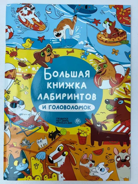 Спецвыпуск детского журнала «Чем занять непоседу» 2025