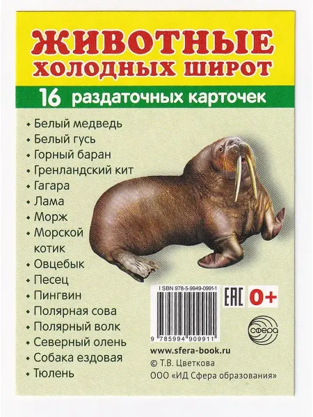 Сфера ТЦ издательство Животные холодных широт. Раздаточные карточки