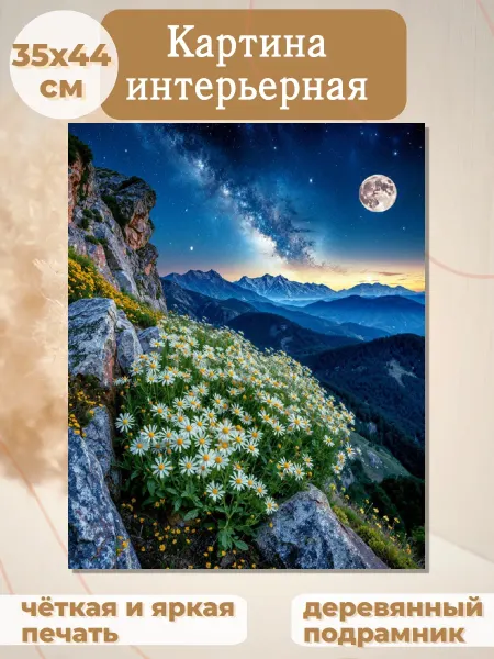 Интерьерные Решения Картина (35х44см) «Тишина высокогорья под полной луной»