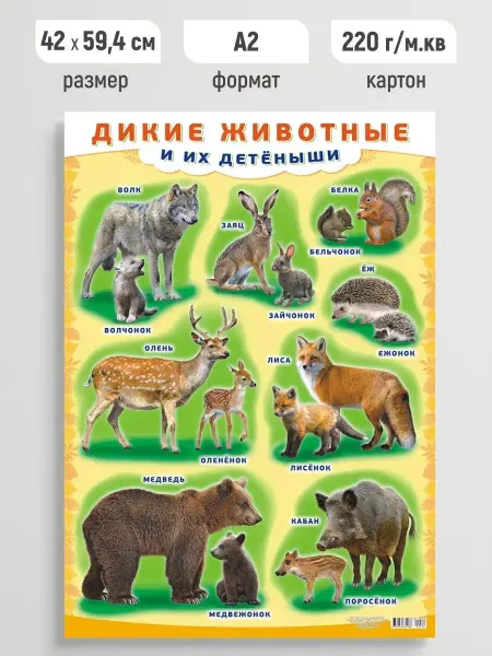 ЛиС Групп Детский обучающий плакат Дикие животные и их детеныши А2