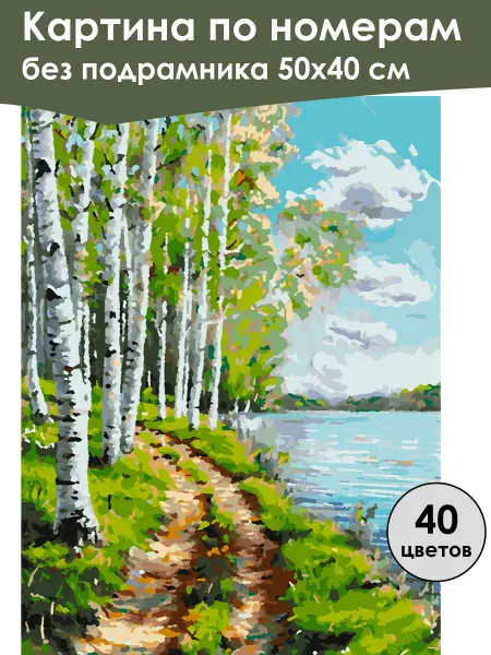 Ивановская картина Картина по номерам без подрамника «Березы у воды» 50x40 см