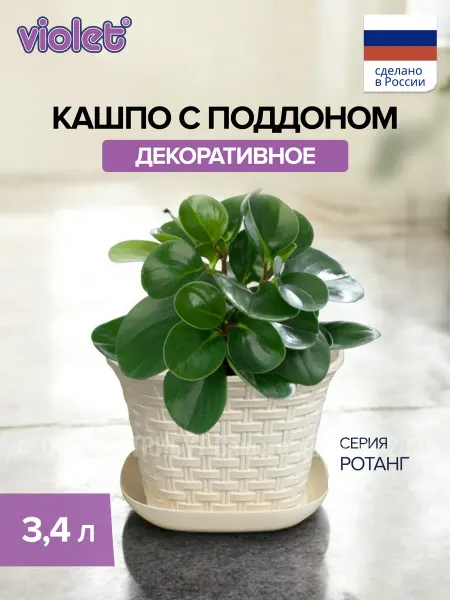 VIOLET Горшок для цветов с поддоном 3,4л, кашпо