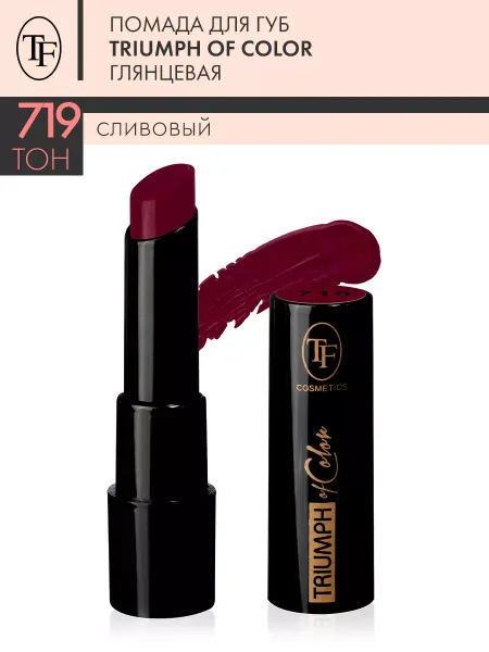 TF COSMETICS Помада для губ глянцевая TRIUMPH of Color тон 719