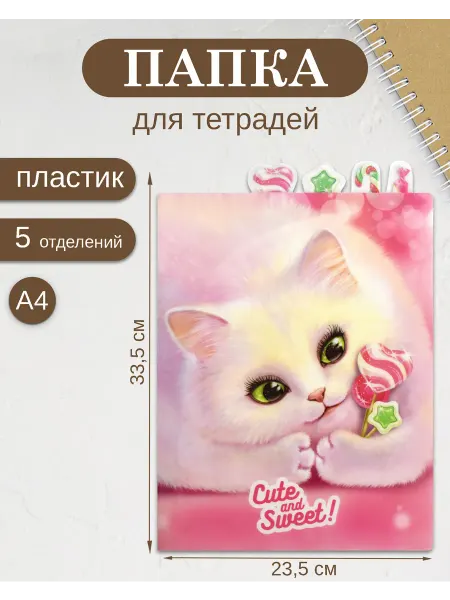 Феникс+ Папка для школьных тетрадей А4