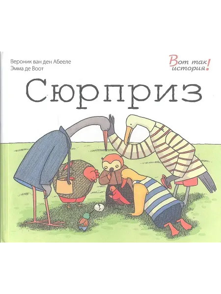 ЭНАС-КНИГА Сюрприз