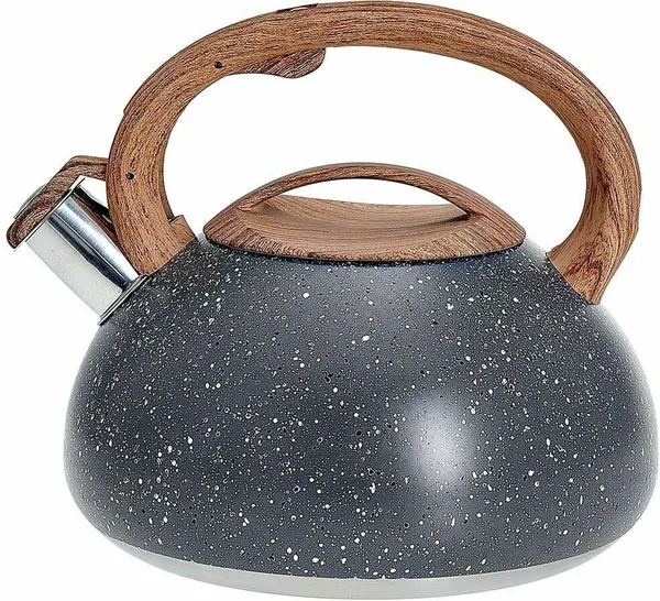 Чайники для плиты ALPENKOK AK-514 1 Чайник из нержавеющая