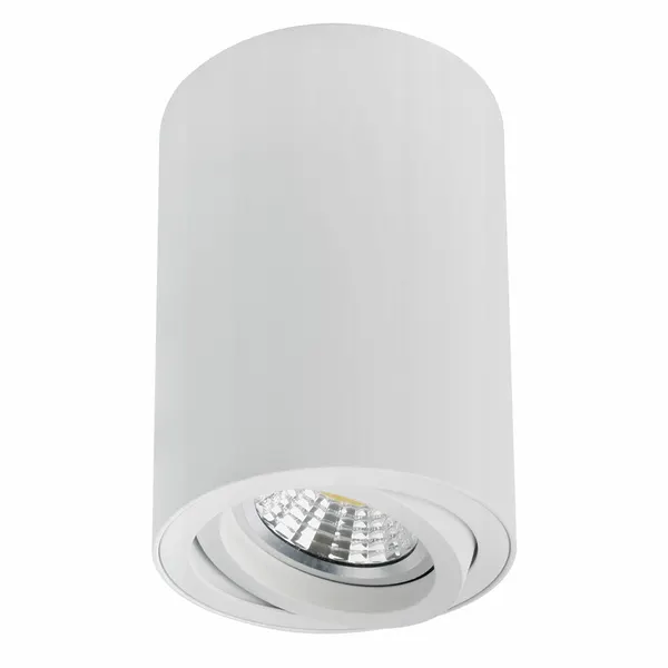 Arte Lamp Точечный накладной светильник SENTRY A1566PL-1WH