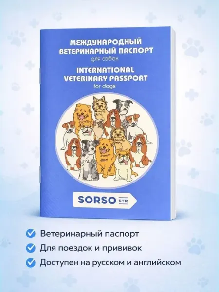 Нет бренда Ветеринарный паспорт для собак