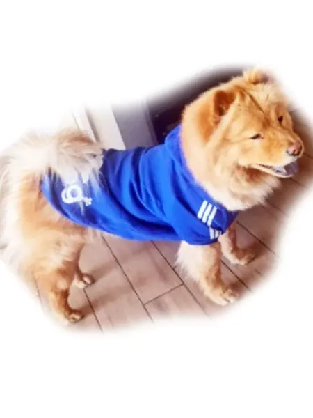 Dog-60 Одежда кофта толстовка для средних собак 5XL