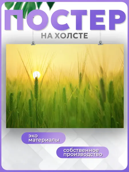POSTERNAK Постер природа, зелёный луг, поле (862) 50х70 см
