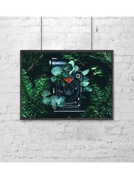 Poster Mall Постер на стену Ретро пленочный фотоаппарат Agfa 50х70