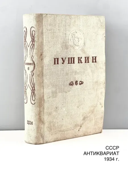 ПОРТ ВИНТАЖ Книга А. С. Пушкин "Критика. История публицистика". Том 6