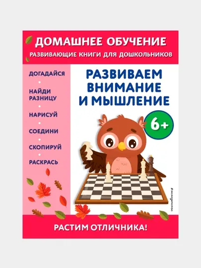 Развиваем внимание и мышление: для детей от 6 лет