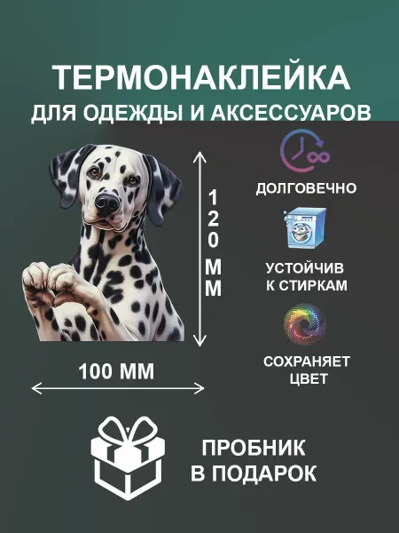 Термонаклейка