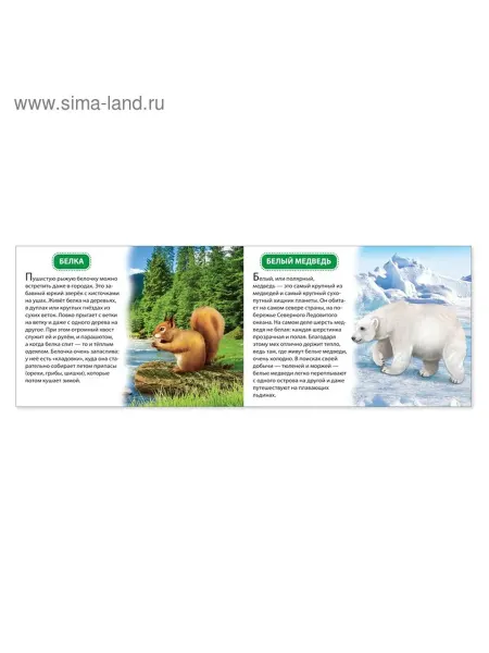 Обучающие книги для малышей 6 в одном наборе