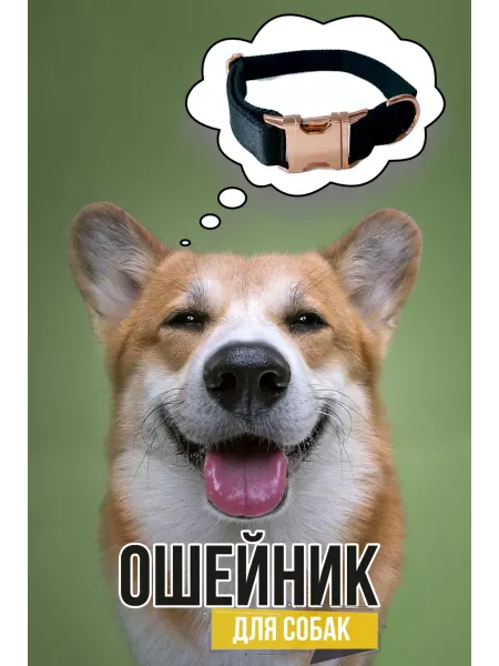 Grusha (pets) Ошейник для собак