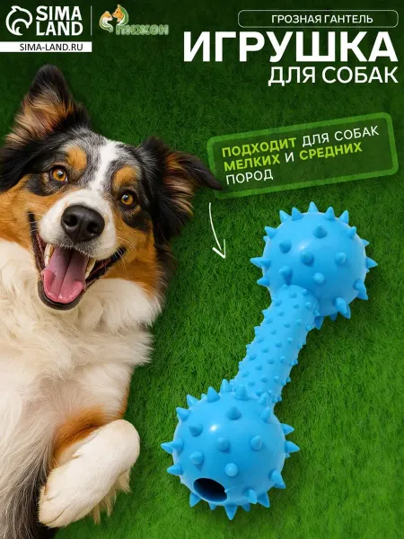 Пижон Жевательная игрушка для собак «Грозная гантель», 15×5 см, ро