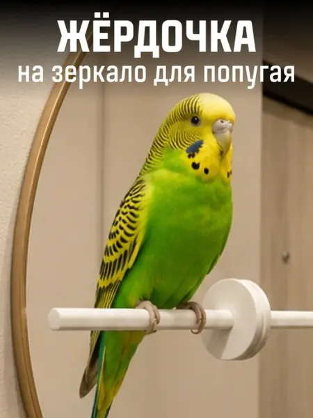 TSEMA HOME Жердочка для попугаев