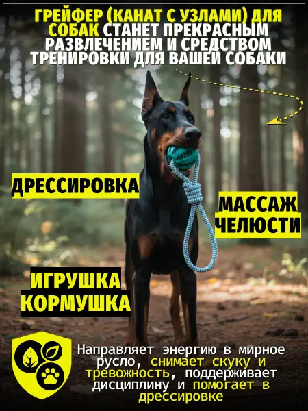 ЗООГЕНИЙ Игрушка для собак мяч-грызунок на канате 1 шт