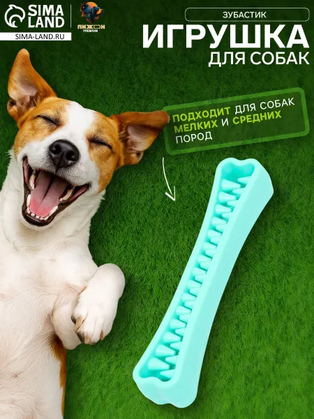 Пижон Игрушка зубочистка для собак косточка