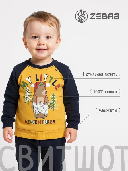 Zebra Свитшот для мальчика