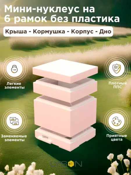 Lyson Мини-нуклеус для пчел на 6 рамок Лысонь без пластика