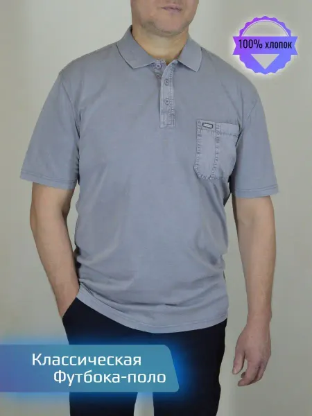 Mr.Ray Футболка поло мужская однотонная классическая хлопок