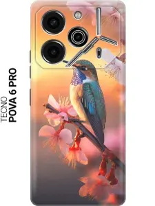 Силиконовый чехол на Tecno Pova 6 Pro с принтом "Птичка и закат"