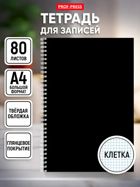Prof-Press Записная книжка А4 80 листов