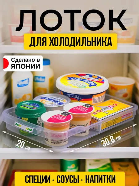 Sanada Органайзер контейнер для холодильника и кухни 20х30,8х4,6 см