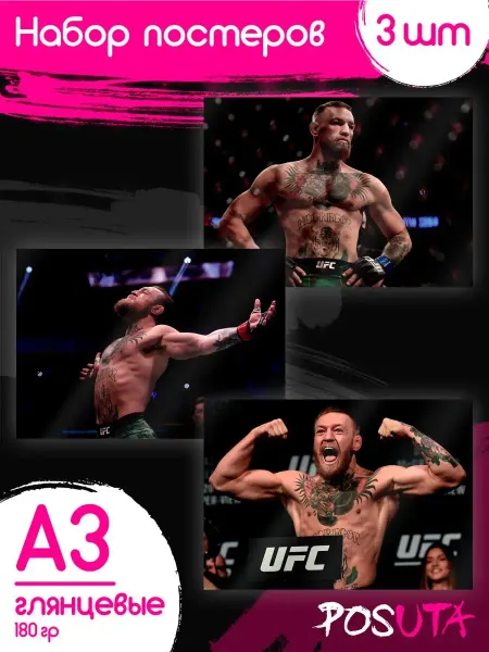 Posuta Постеры на стену интерьерные Конор Макгрегор UFC