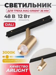 Arlight Светильник MAG-ORIENT-SPOT-R45-12W Warm3000 GD, 24 deg, 48V