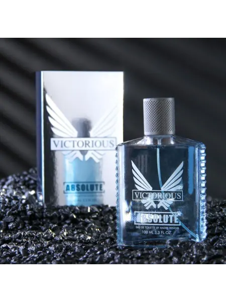 Today parfum Туалетная вода мужская Absolute Victorious, 100 мл