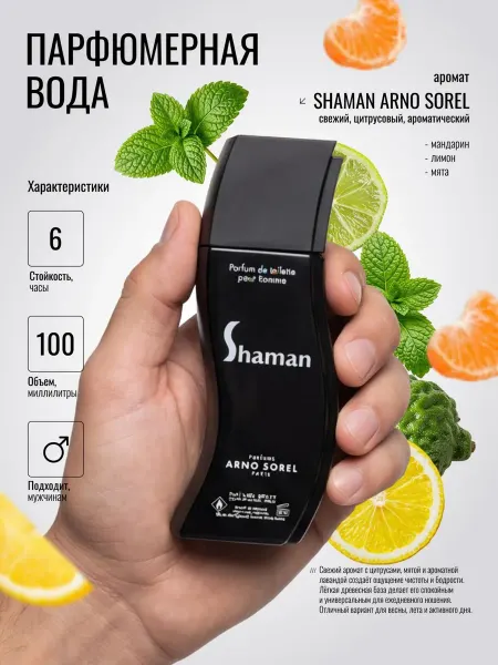ANYLADY PARFUM Духи мужские SHAMAN ARNO SOREL 100 мл, парфюмерная вода