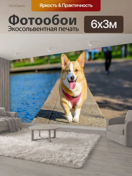 LotsPrints Фотообои "Животное, собака, домашний питомец" 6x3м