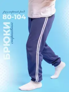 Брюки Кактус 603ИЛ1