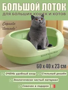 Лоток для кошек большой с высоким бортиком 60х40х23 см