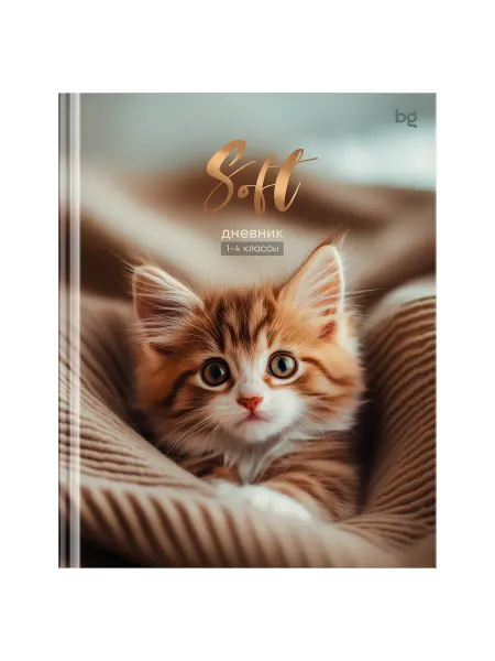 Дневник 1-4 кл 48л (твердый) BG "Soft" матовая ламинация