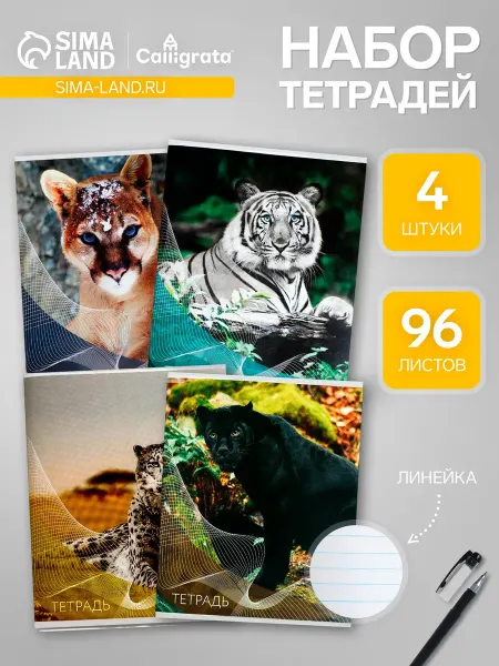 Calligrata Тетради в школу 4 штуки 96 листов в линейку