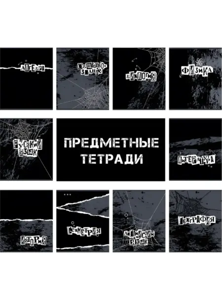 Комус Тетрадь предметная Панк 48л А5 10 шт