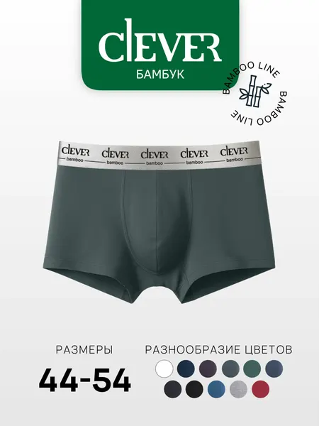 CLEVERТрусы мужские бамбук