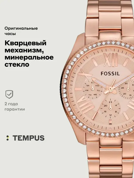 Fossil Часы Multifunction AM4483