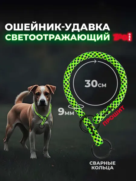ZOOONE Ошейник-удавка для собак с 2-я кольцами 9 мм*30 см, чёрный