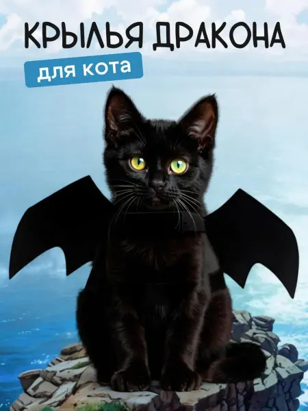 Super Animals Костюм для кота Крылья Дракона