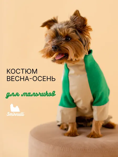 SMIRNULLI Костюм для собаки, для мальчиков, Дони