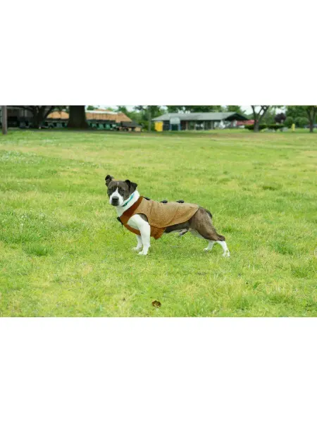 Dog Gone Smart Одежда для собак