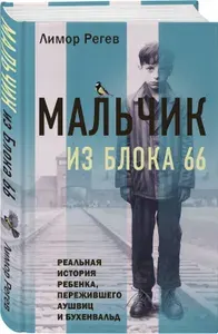 Мальчик из Блока 66. Реальная история ребенка, пережившего Аушвиц и Бухенвальд