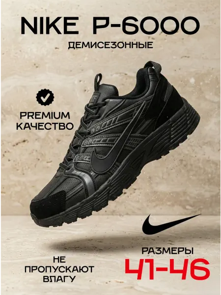 Shoes LLC Кроссовки Nike P6000 Весенние