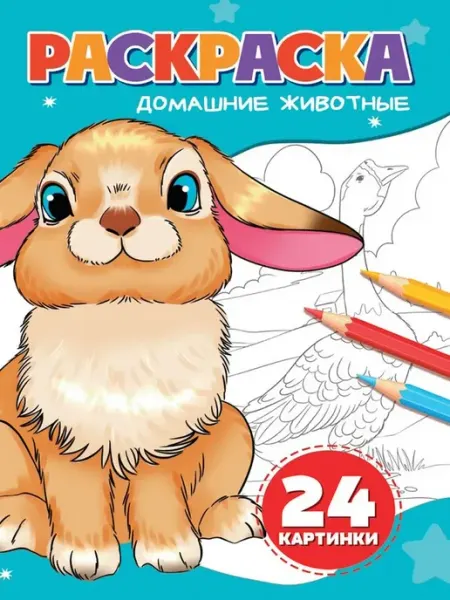 Издательство Проф-Пресс Раскраска. Домашние животные