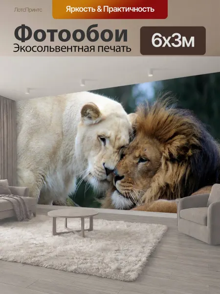 LotsPrints Фотообои "Лев, львица, большой кот" 6x3м